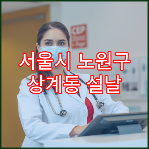 서울시 노원구 상계동 설날 명절 연휴 당직약국 노원역·노해로 주변 야간 응급약 구매 가능 약국 위치