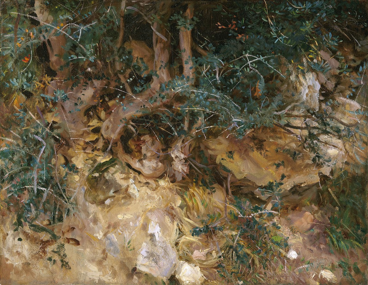 ValdemosaMajorca  Thistles and Herbage on a Hillside 1908