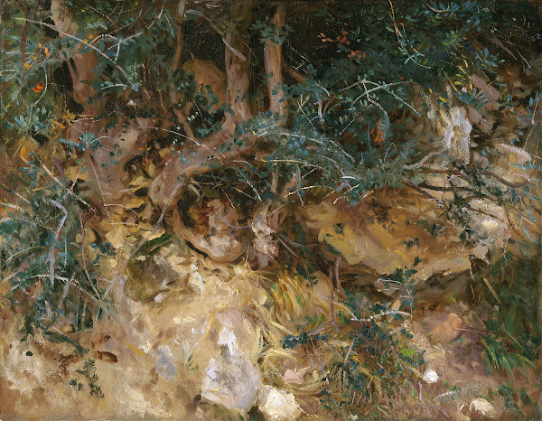 ValdemosaMajorca  Thistles and Herbage on a Hillside 1908