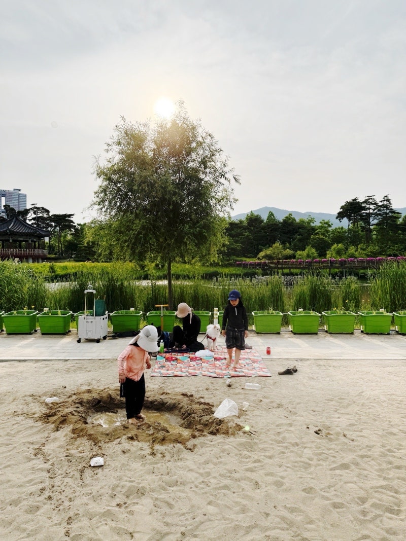 출처: 온라인 커뮤니티