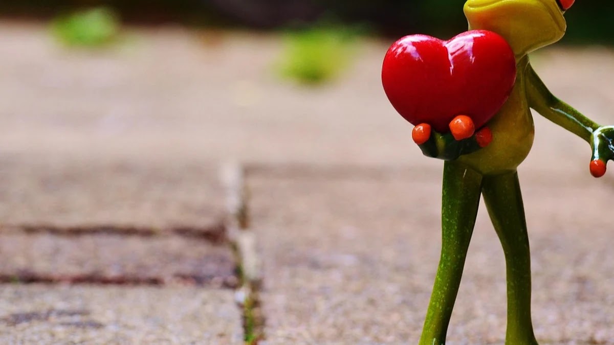 한국어 관용구에서 동물 비유 표현의 의미와 유래 분석