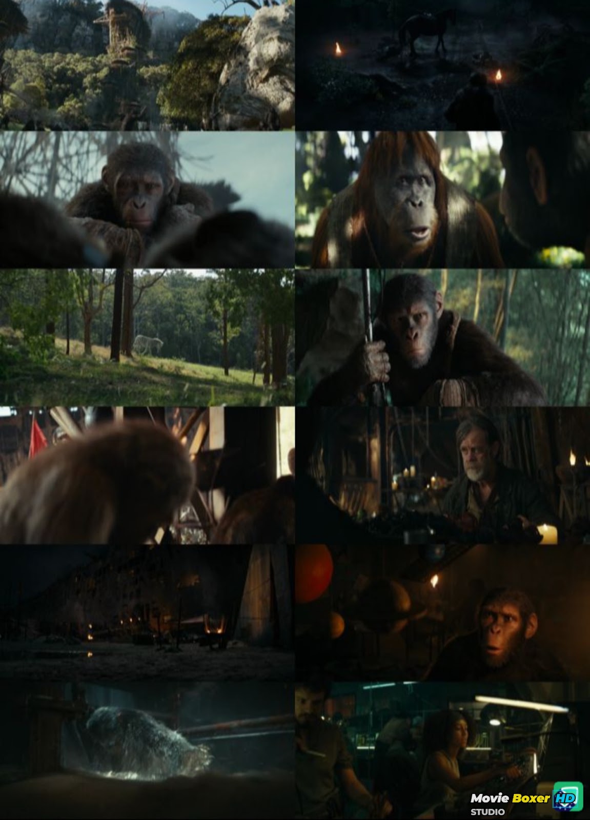 Screenshots Grid
