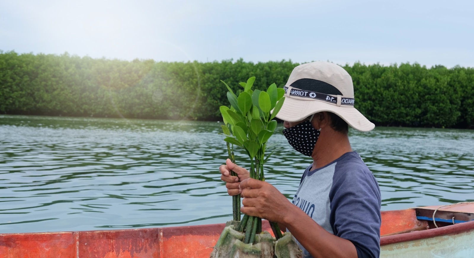 CarbonEthics takes the initiative to improve the livelihood of the coastal community through each of its activities. Air travel net zero, aviation greenhouse gas emissions, zero emission aircraft, blue carbon package, carbon calculator Indonesia. CarbonEthics Indonesia
