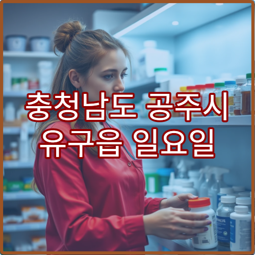 충청남도 공주시 유구읍 일요일 당직약국 일요일 영업시간 위치 정보