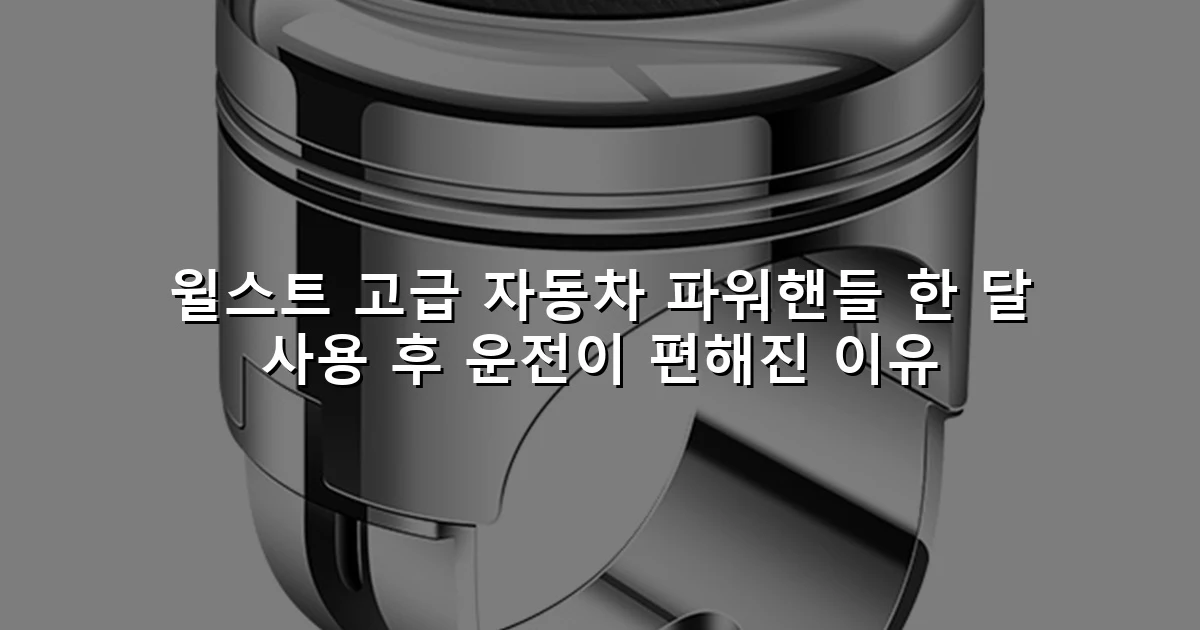 윌스트 고급 자동차 파워핸들 한 달 사용 후 운전이 편해진 이유