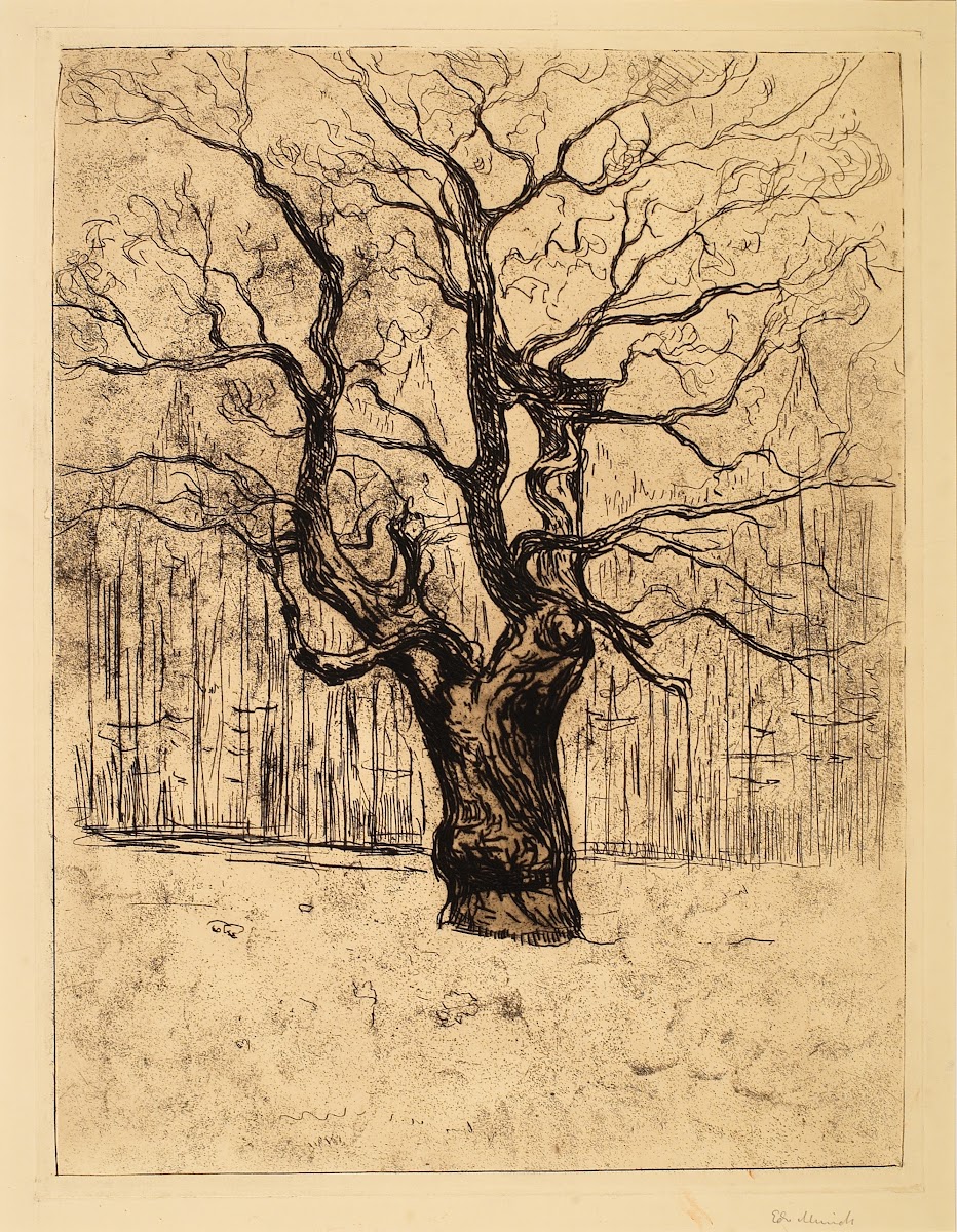 The Oak