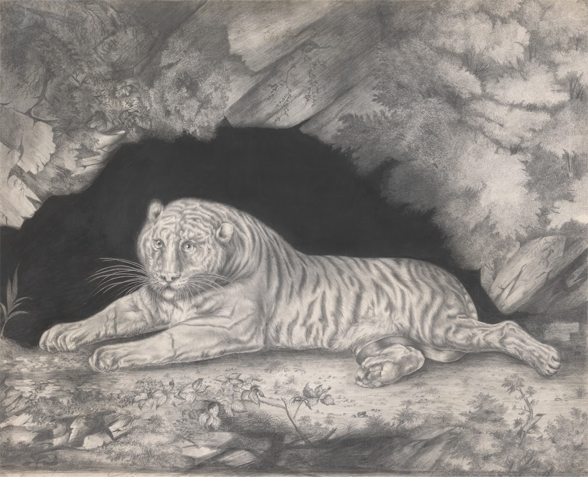 A Tiger Lying in the Entrance of a Cave 1796