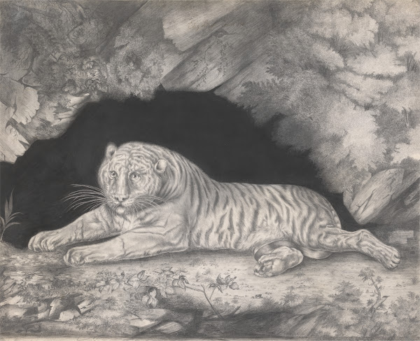 A Tiger Lying in the Entrance of a Cave 1796