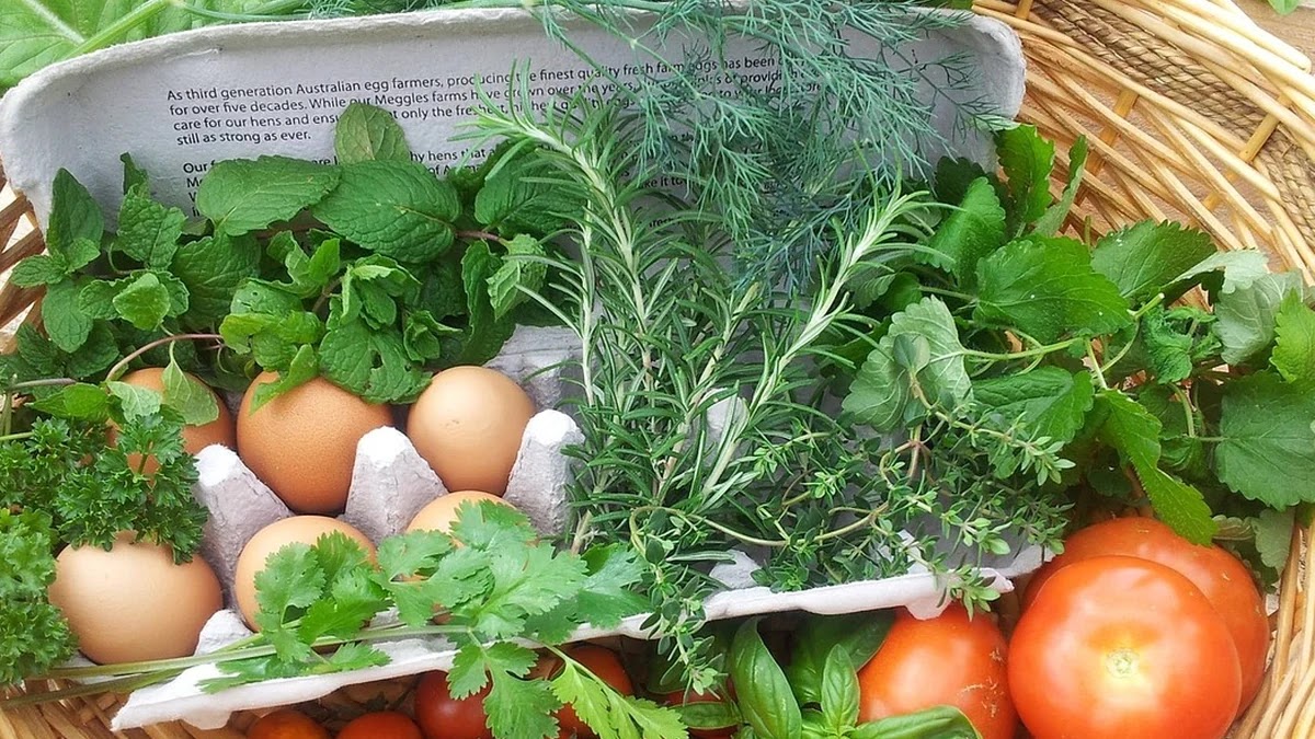 건강한 다이어트에 도움 되는 습관 형성 방법과 지속 관리 기준