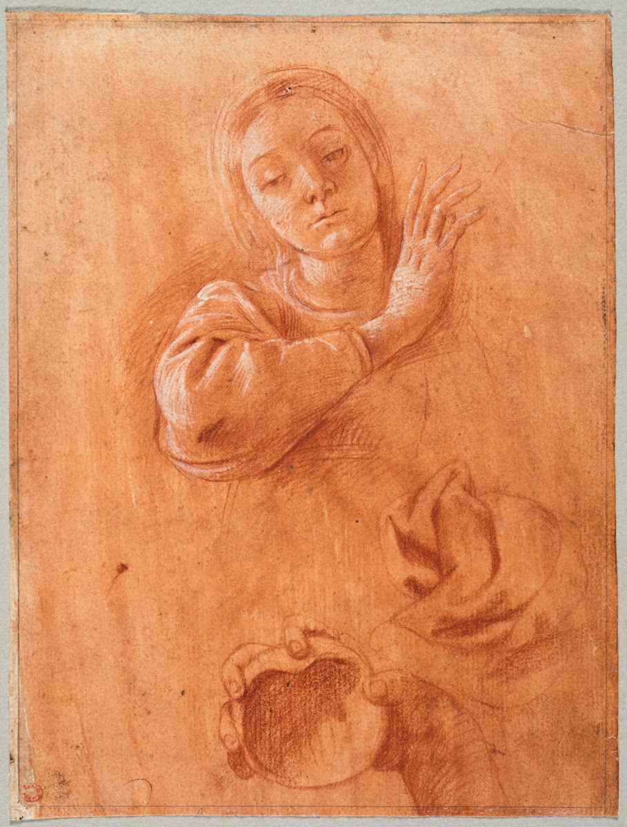 Studies of the Virgin Drapery and the Hand of Saint John the Baptist Holding a S