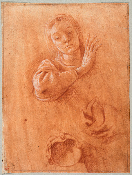 Studies of the Virgin Drapery and the Hand of Saint John the Baptist Holding a S
