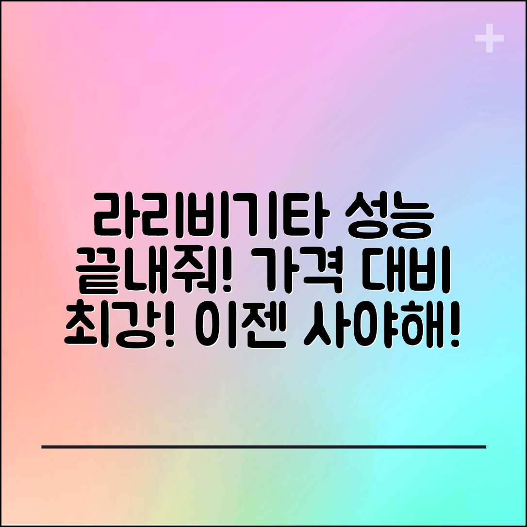 “라리비기타, 가격 대비 성능이 이렇게 좋다니!”