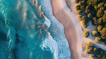 Beach Wallpaper