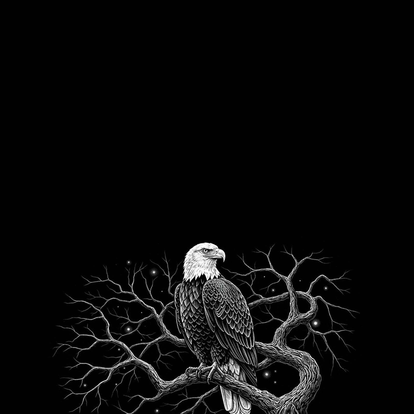 Download Bald Eagle Under Dark Sky iPhone