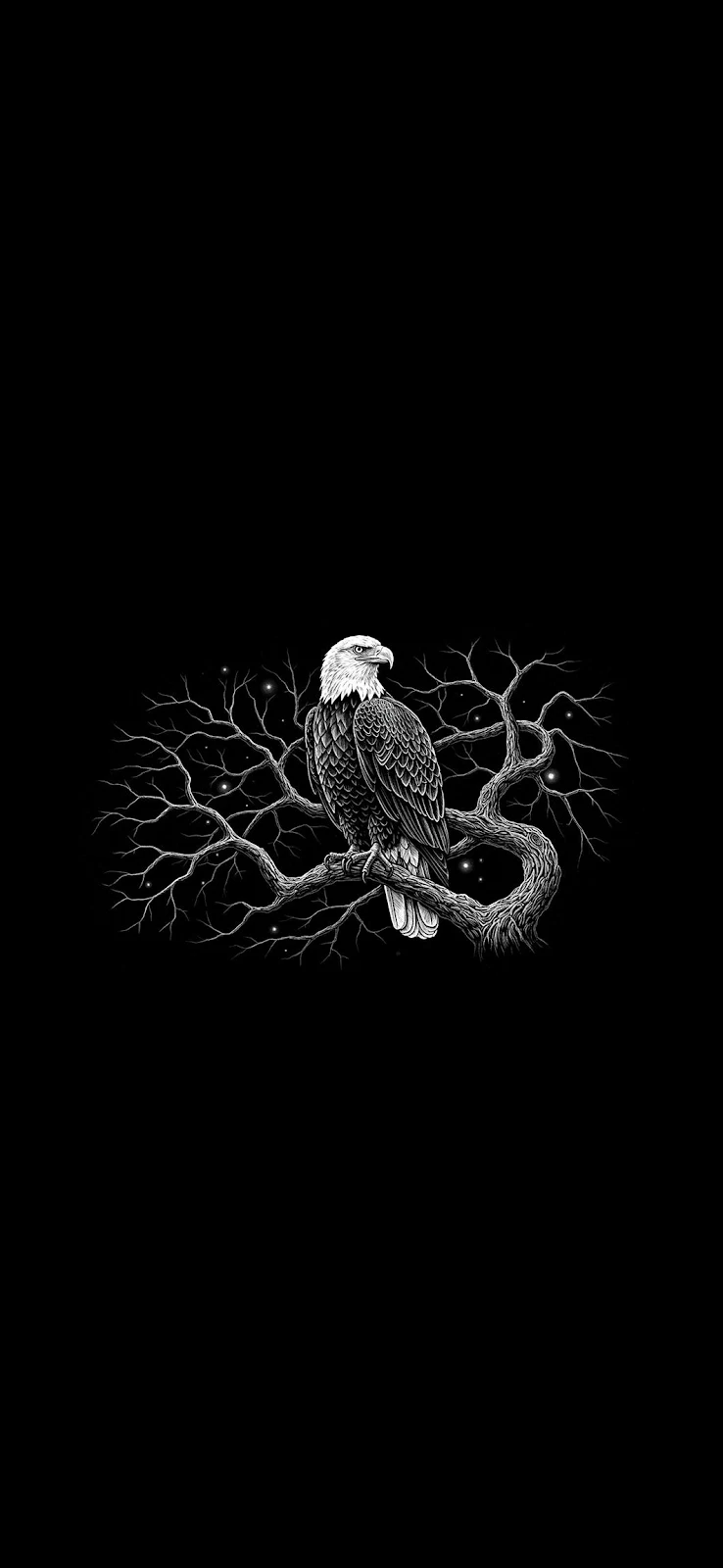 Bald Eagle Under Dark Sky - Line Illustration Art iPhone Wallpaper (1062x2301)