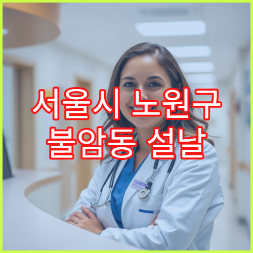 서울시 노원구 불암동 설날 명절 연휴 당번약국 불암산로·도농로 인근 심야 영업 휴일지킴이약국 정보