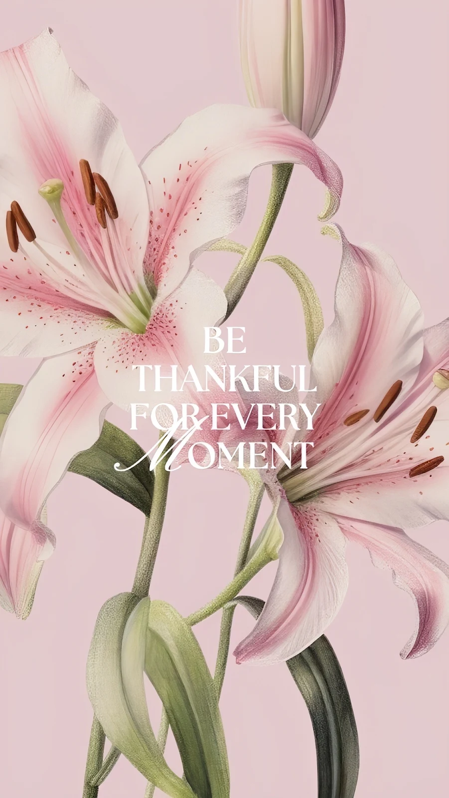 Pink Lilies With Inspirational Quote - Botanical Illustration Full HD iPhone Wallpaper (1126x2000)
