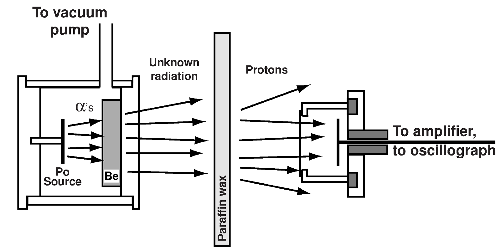 A Proton's Echo: What Does a New Particle Tell Us About 'Reality'?