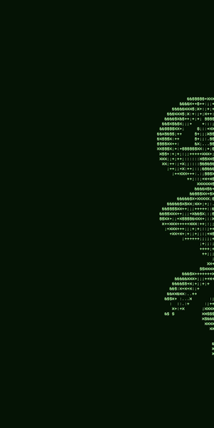 Green Matrix Style Digital Skull 4K Wallpaper Background