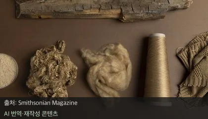 업사이클링 패션 - 난파선 나무 조각의 변신, 예술이 된 업사이클링 패션