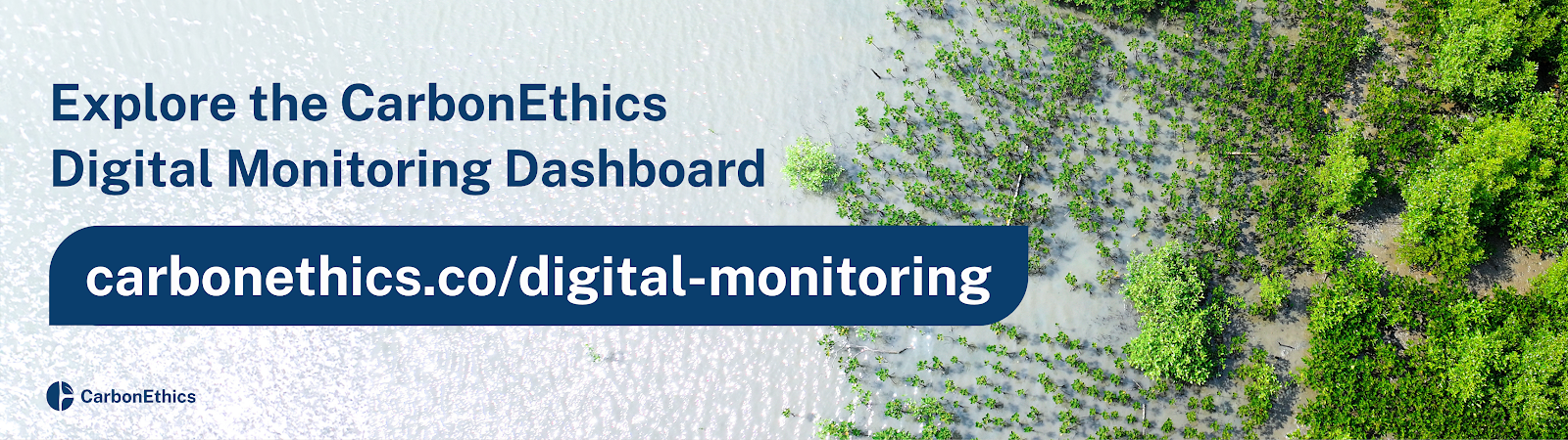 Explore Digital Monitoring for tree planting and restoration projects