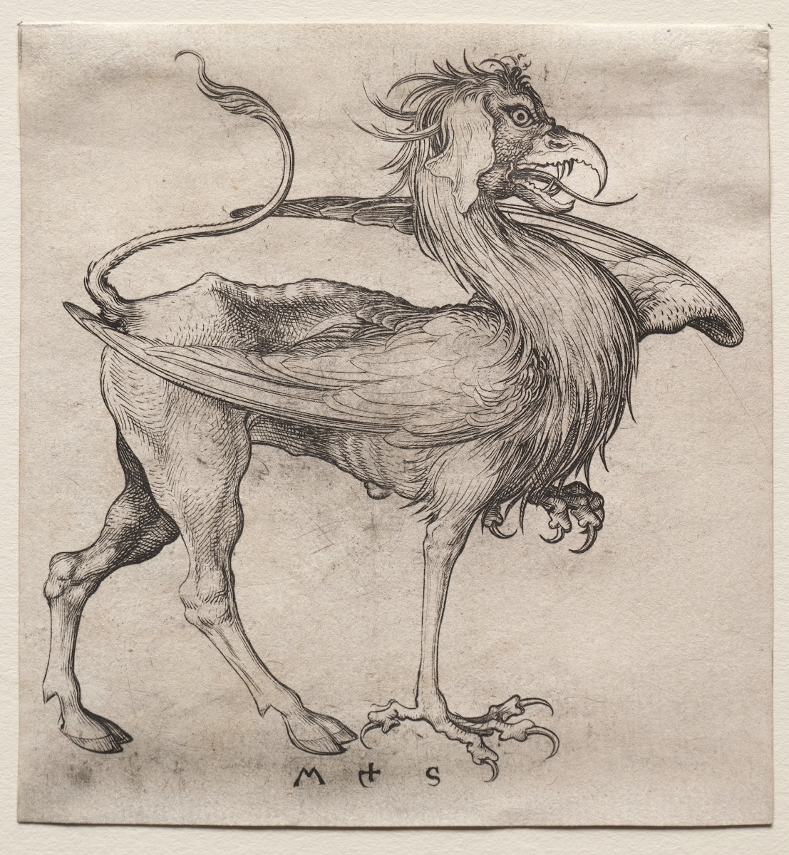 The Griffin c 148090