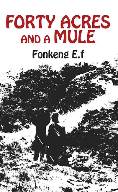 Forty Acres and a Mule