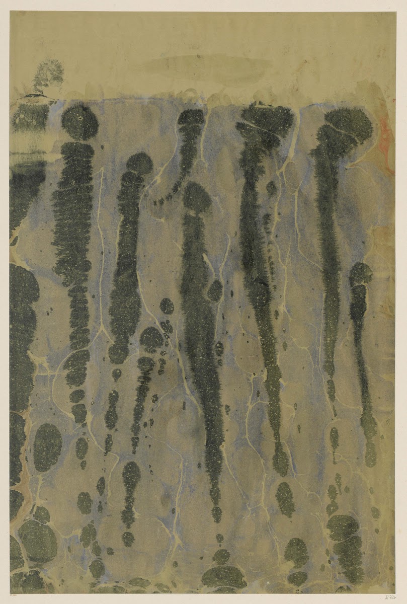 Marmorpapier 1894   1902