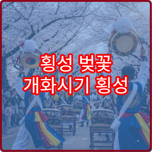 횡성 벚꽃 개화시기 횡성 벚꽃 언제 필까