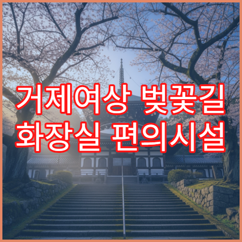 거제여상 벚꽃길 화장실 편의시설 학교 근처 숨은 위치 실시간 안내