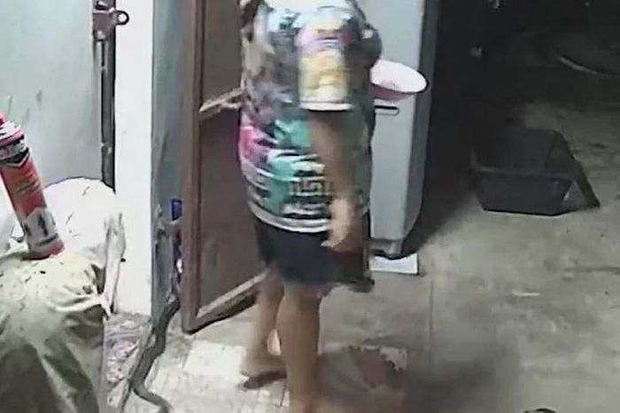 Dẫm trúng rắn hổ mang chúa, người phụ nữ hoảng loạn kêu cứu giữa đêm - Tạp chí Doanh Nghiệp Việt Nam