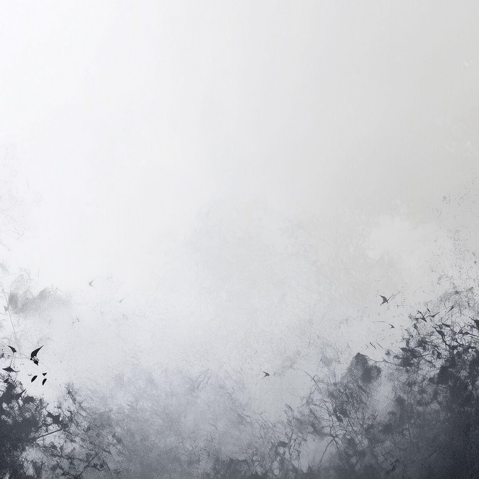 Download Minimalist Misty Ink Forest 2K iPhone