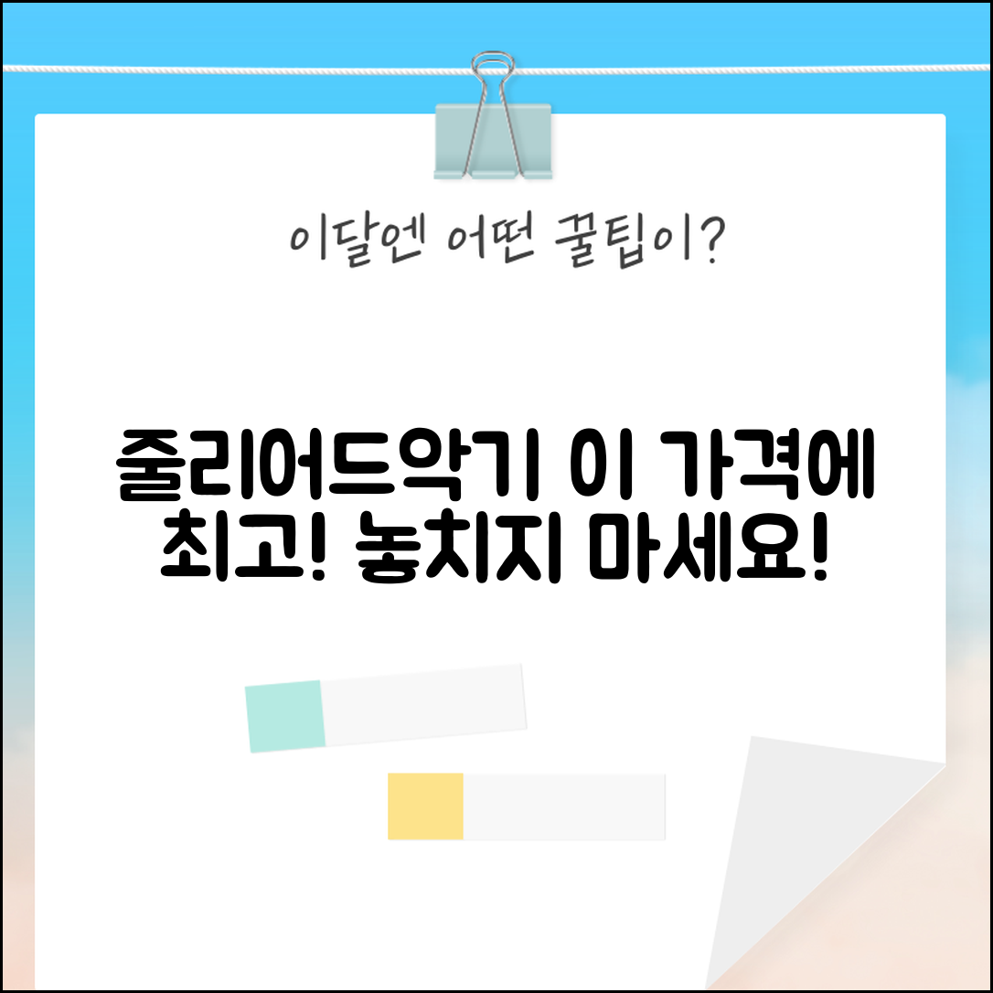 “줄리어드악기, 이 가격에 이렇게 좋다니!”
