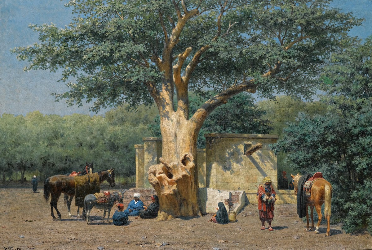 The Well And Sycamore In Ezbekieh Square Cairo