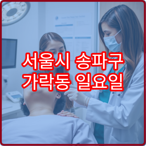 서울시 송파구 가락동 일요일 한의원 진료 주말 한방 치료