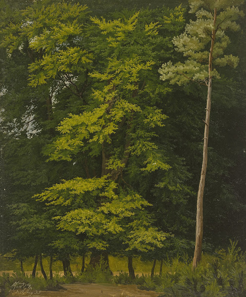Broadleaf forest study in oil 1835