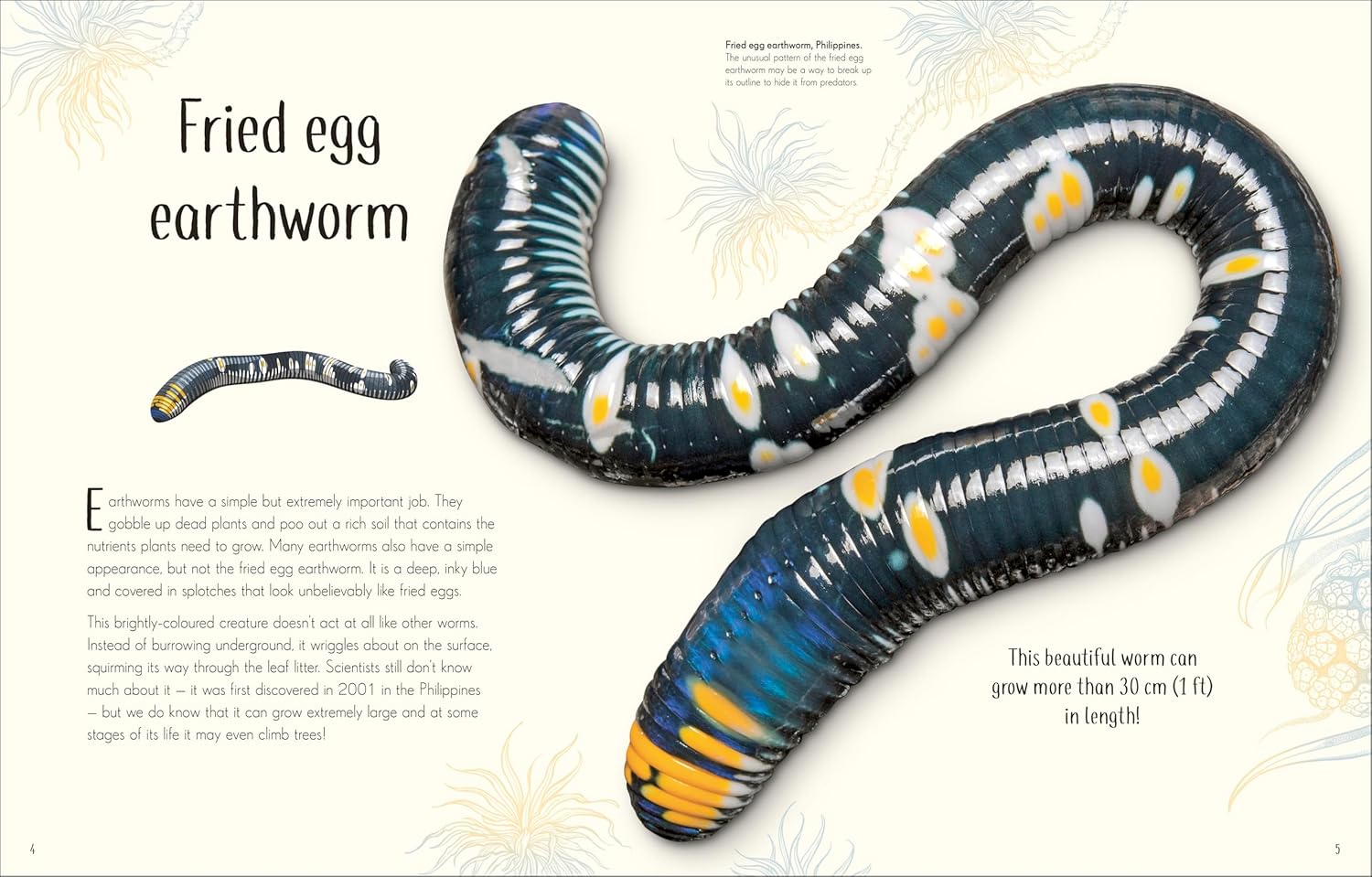 An Anthology of Remarkable Bugs - thumbnail 2