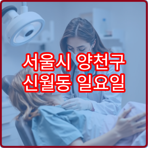 서울시 양천구 신월동 일요일 진료 가능한 안과 눈 통증 응급 판단 도움 정보