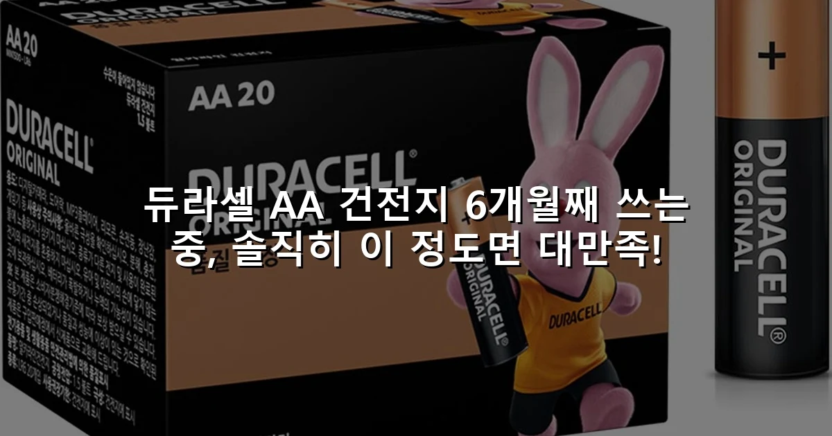 듀라셀 AA 건전지 6개월째 쓰는 중, 솔직히 이 정도면 대만족!