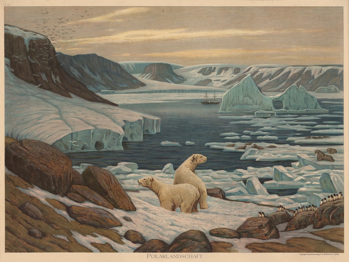 Polarlandschaft