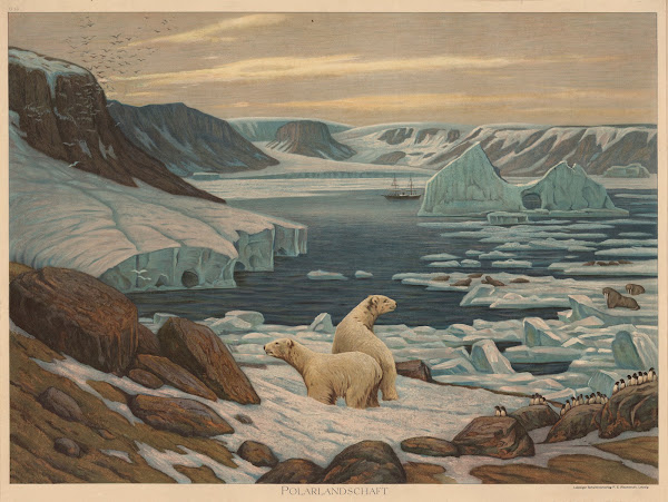 Polarlandschaft
