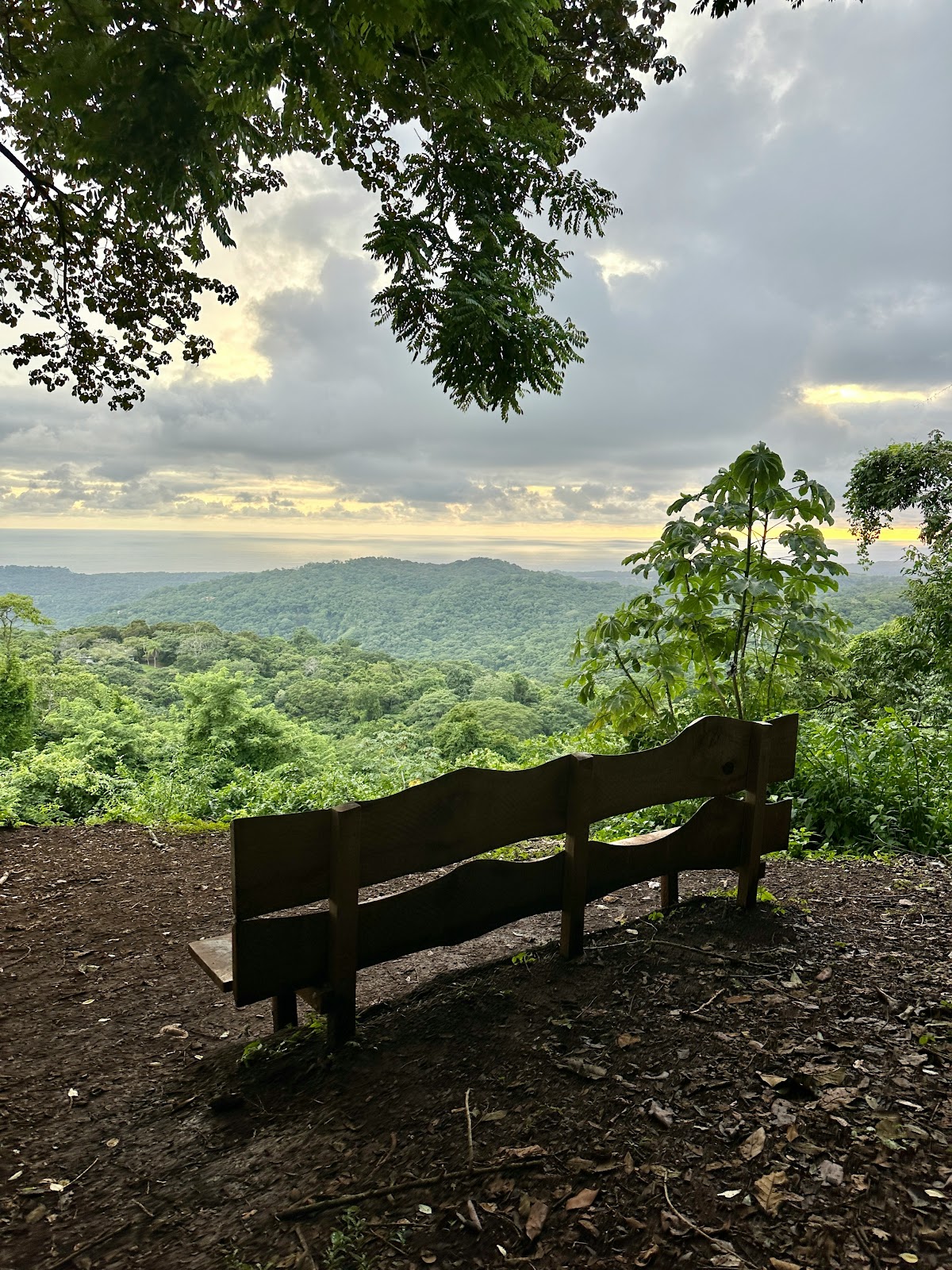 Costa Rica selva
