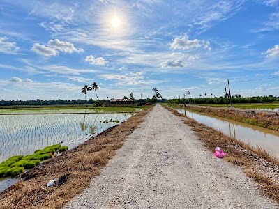 Tanah Sawah 3.06 Ekar Panchang Bedena Sabak Bernam — foto 3/4