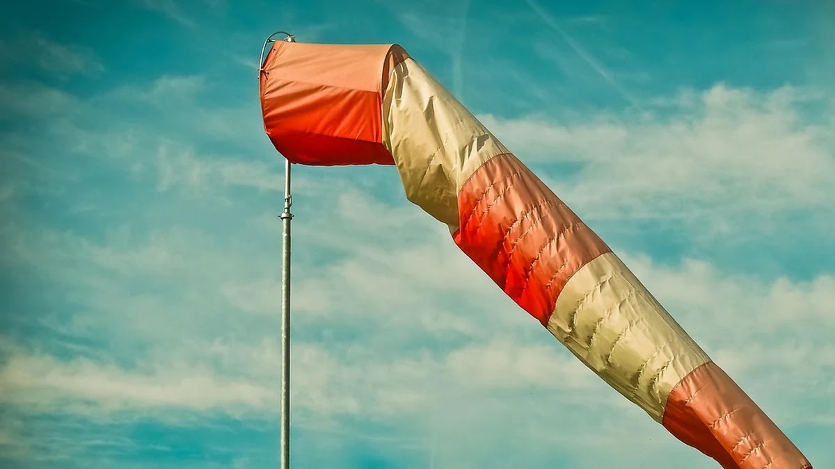 환율 변동 요인별 영향력 비교와 투자자 대응법