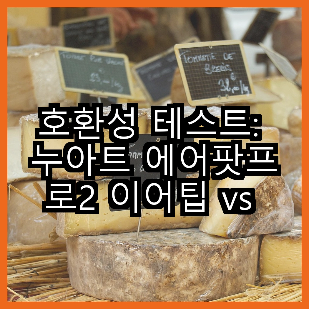 호환성 테스트: 누아트 에어팟프로2 이어팁 vs 로랜텍 아이패드 스타일러스, 어떤 선택이 최적일까? 썸네일