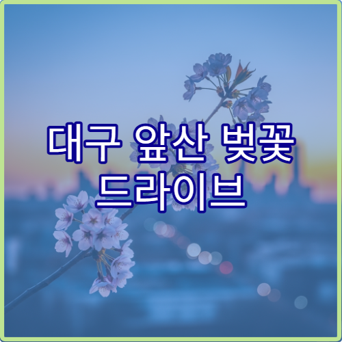 대구 앞산 벚꽃 드라이브 초보 커플을 위한 안전하고 편한 루트 정리