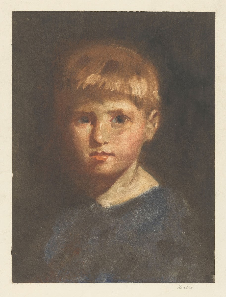 Portrait of a boy 1878   1931