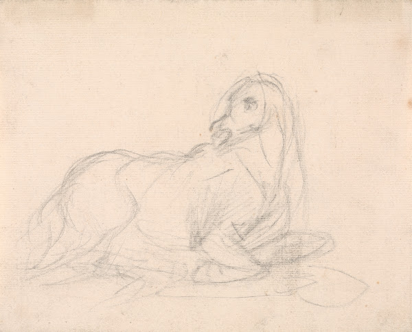 Study of a horse lying down