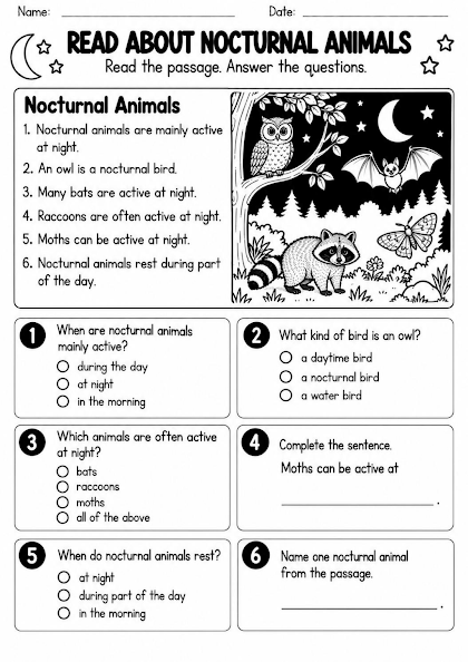 Nocturnal Animal Simple Reading Worksheet