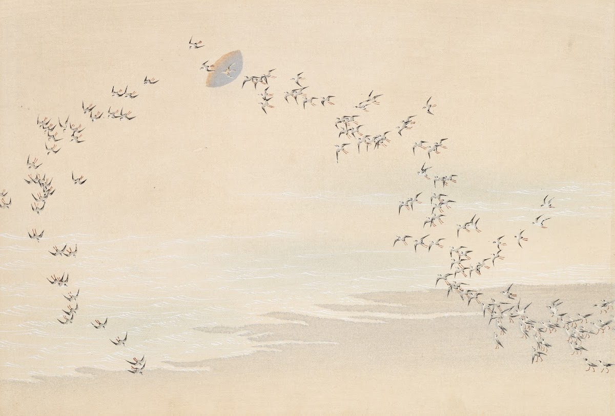 A Thousand Grasses Pl09 1900